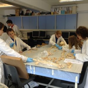 Students working with archaeology dept Winchester uni